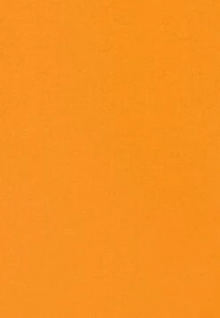 Seidensticker Blouse - Orange 13 Seidensticker Blouse - Orange -Ulla Popken Winkel 2fe7d0ab99994bab8b276441e45c8ddf